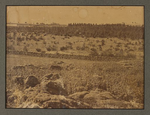 Frederick Castle of Birregurra